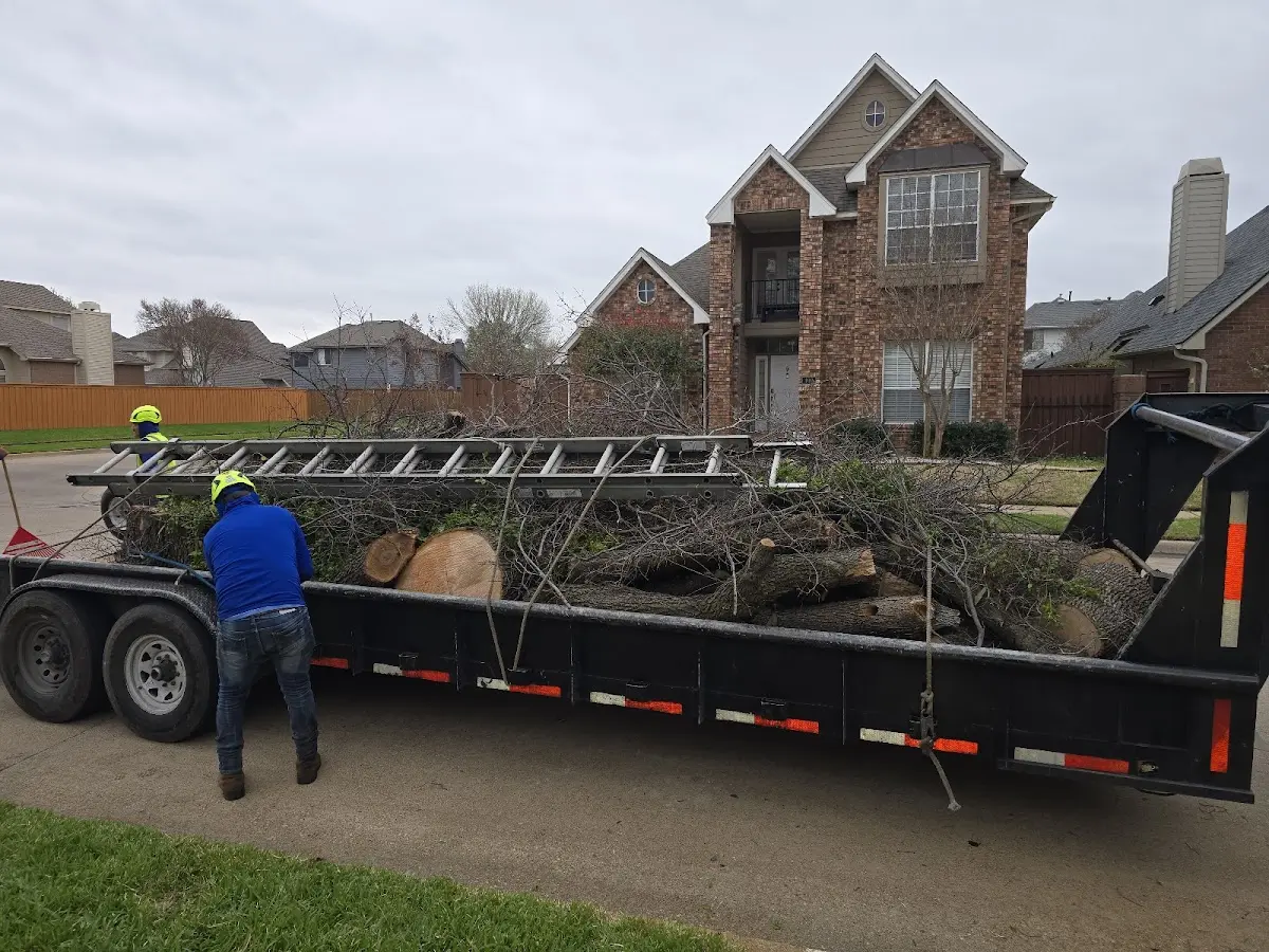 Expert Tree Fertilization with proper safety equipment in Henning